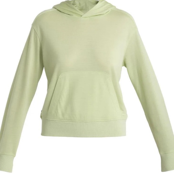 NWT [Icebreaker] Merino Blend Ii 200 Crush Pullover Hoodie in Glazen Women’s L - Picture 5 of 16